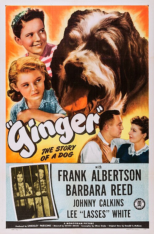 Poster for Ginger (1946)
